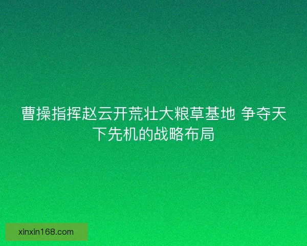 曹操指挥赵云开荒壮大粮草基地 争夺天下先机的战略布局